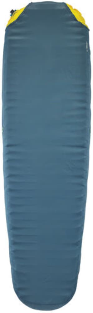 Synergy Lite Sheet 20 Stargazer, view: 0