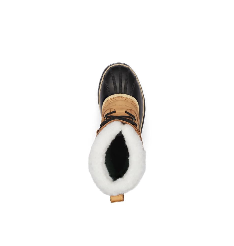 Caribou™ WP Buff, view: 2