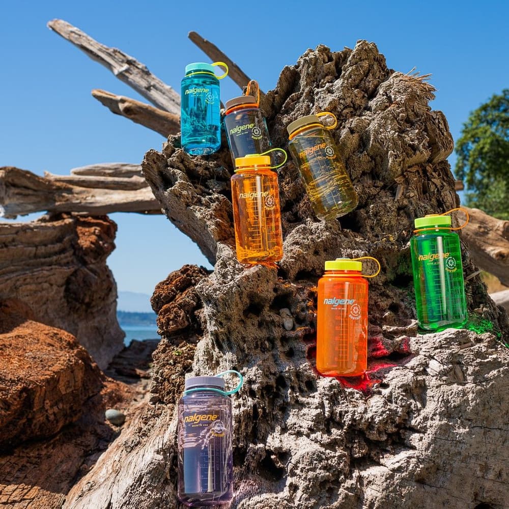 Bottle 1 l Wide Mouth Sustain Surfer, view: 3