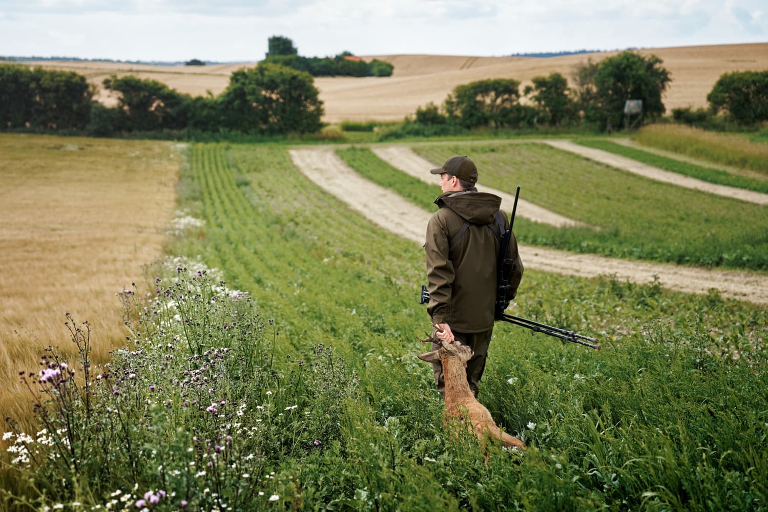 Finnmark HWS Jakke Hunting green, view: 8