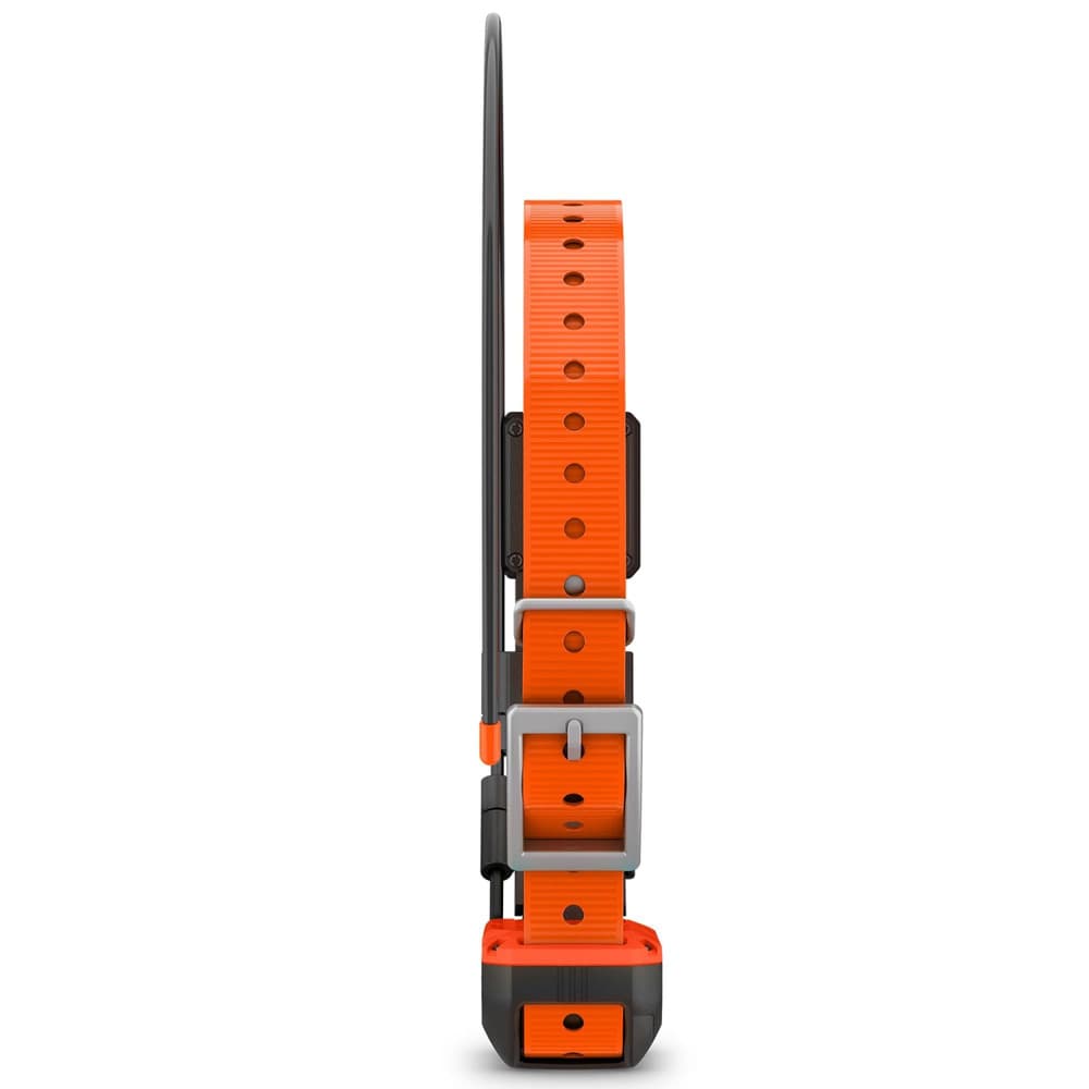 Alpha T20 GPS collar Black, view: 4