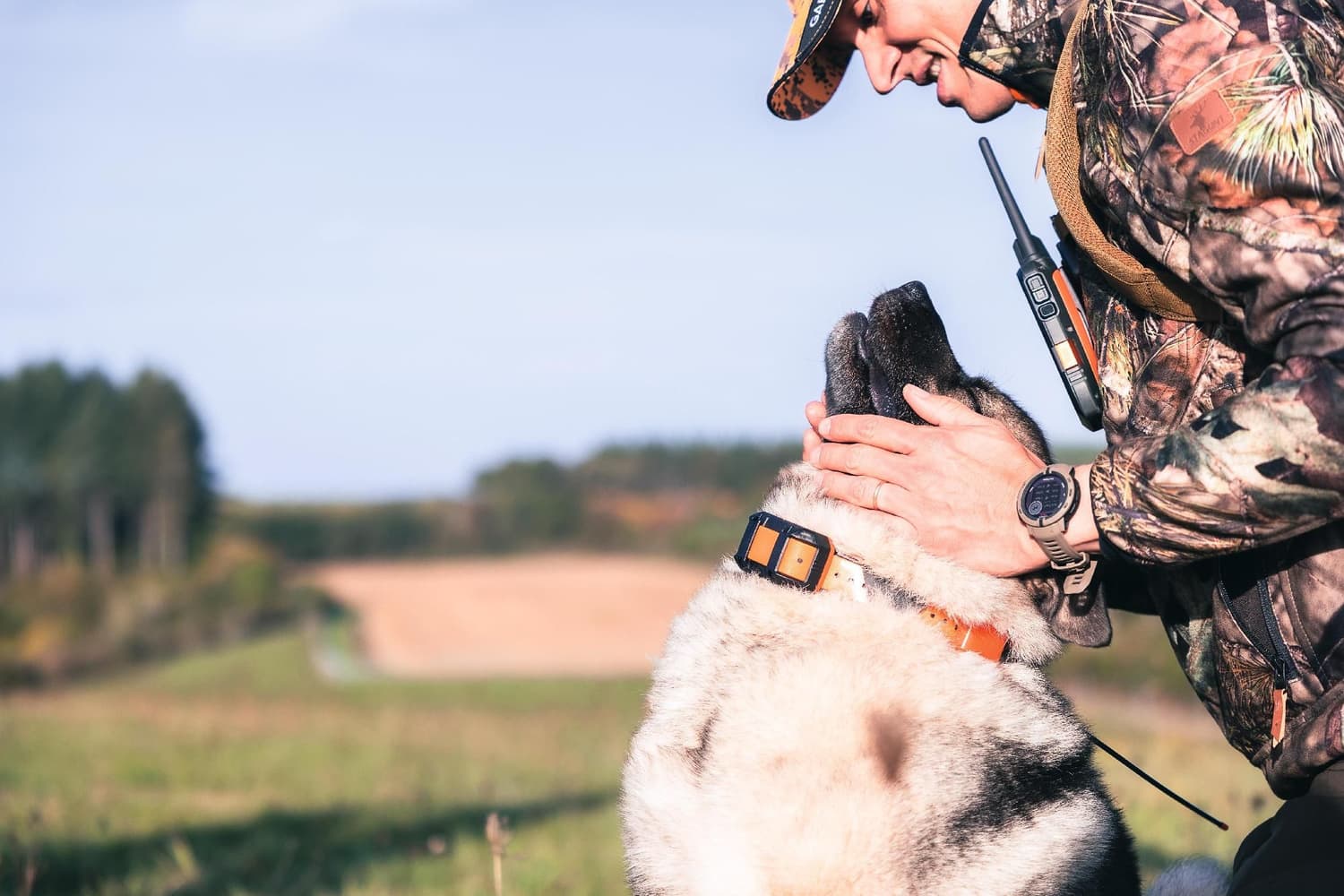 Alpha T20 GPS collar Black, view: 6