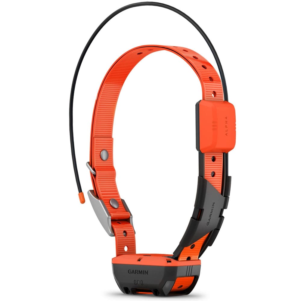 Alpha T20 GPS collar Black, view: 2