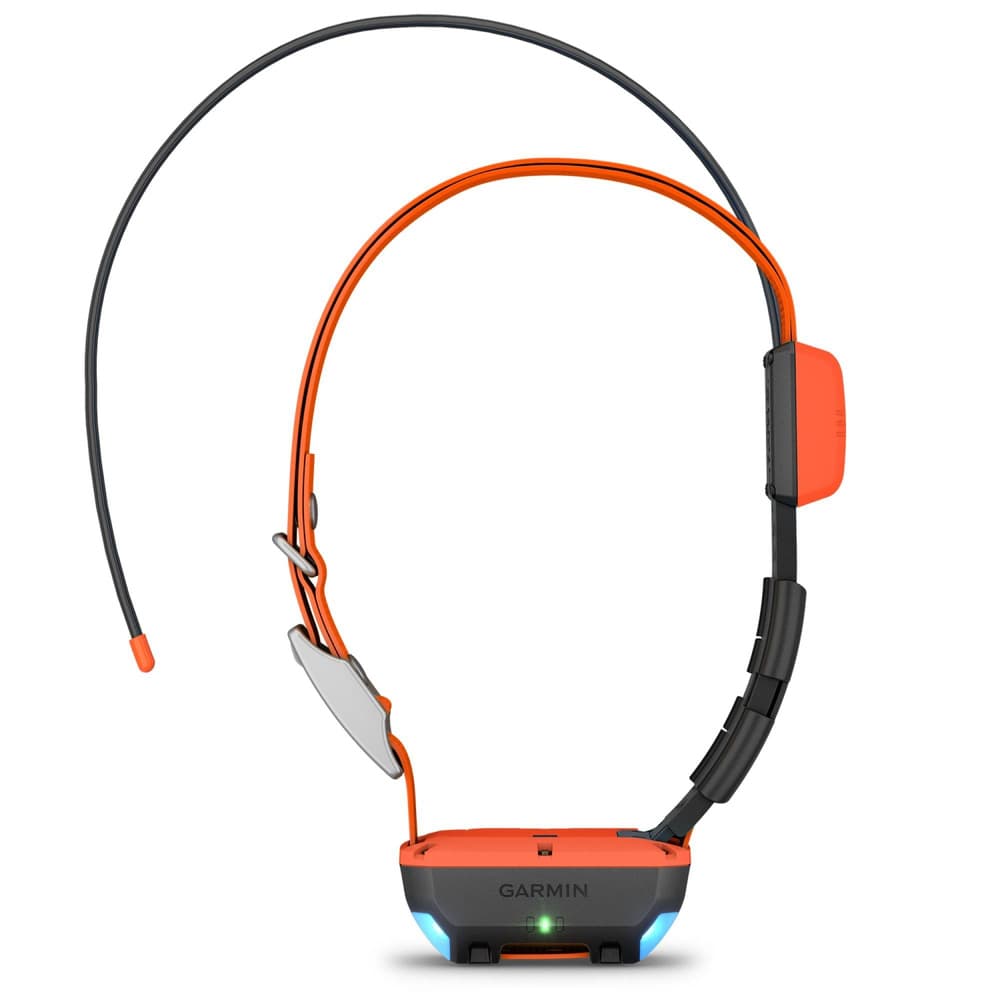 Alpha T20 GPS collar Black, view: 1