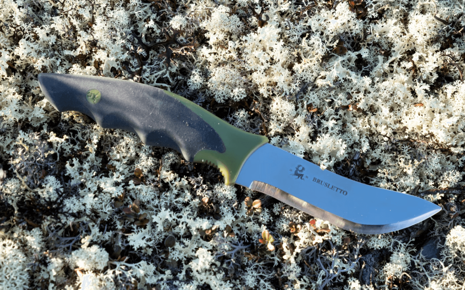 Skinner, view: 1