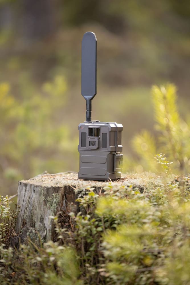 Burrel S22WA Global Svart, view: 3