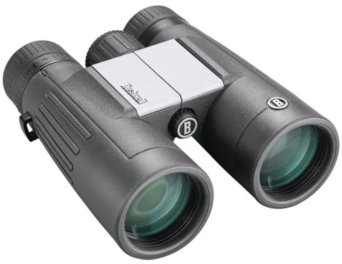 Powerview 2.0 10x42 Roof, view: 1