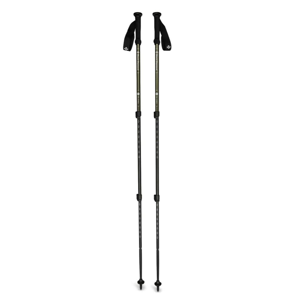 Explorer 3 Trekking Poles Tundra, view: 0