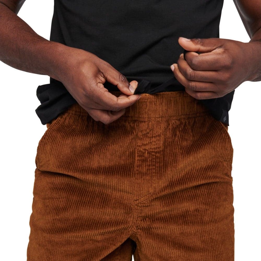 Men's Dirtbag Corduroy Shorts Bark Brown (2013), view: 4