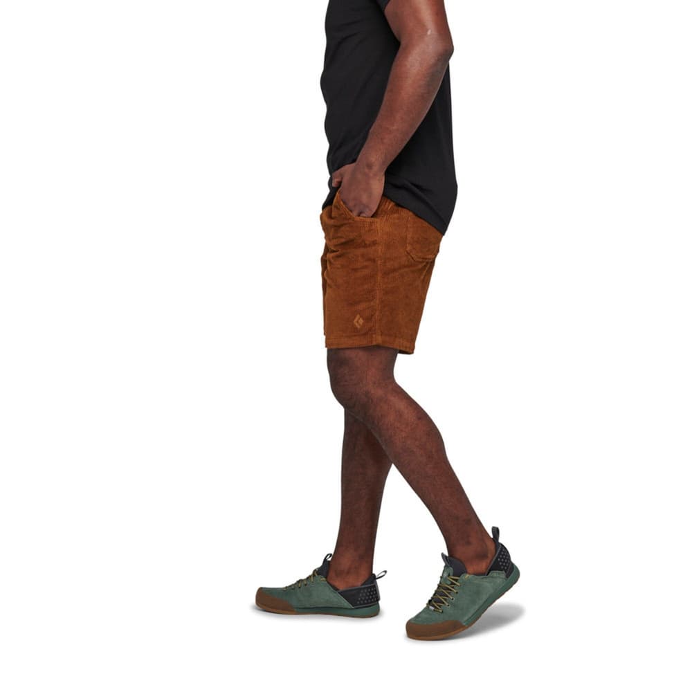 Men's Dirtbag Corduroy Shorts Bark Brown (2013), view: 2
