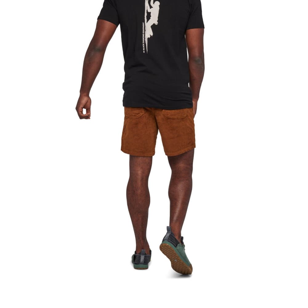 Men's Dirtbag Corduroy Shorts Bark Brown (2013), view: 3