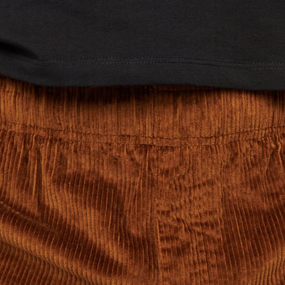 Men's Dirtbag Corduroy Shorts Bark Brown (2013), view: 5