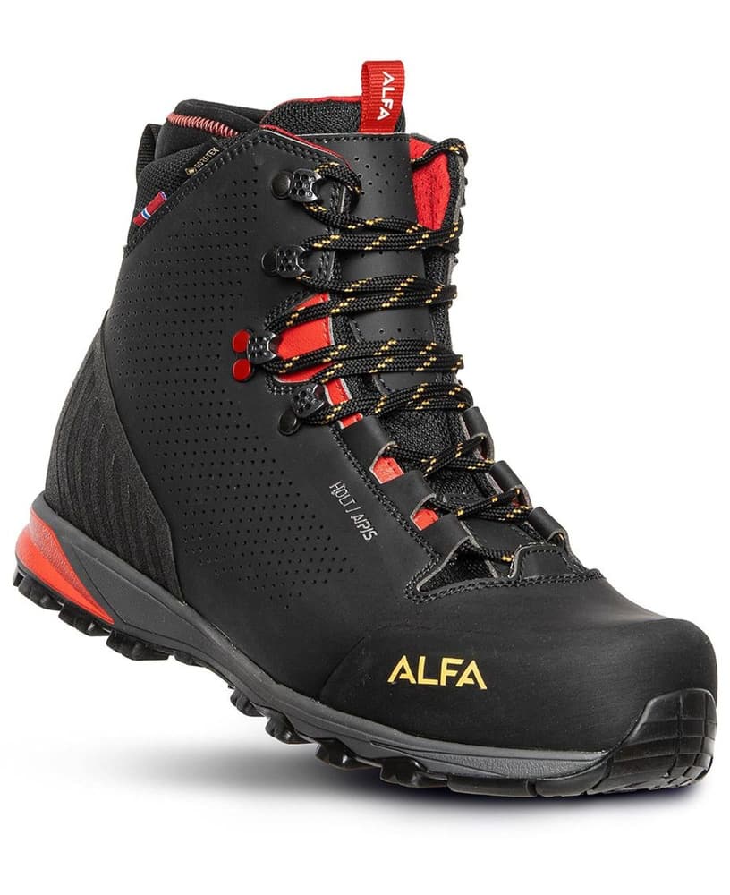 Holt A/P/S GTX W Svart, view: 0
