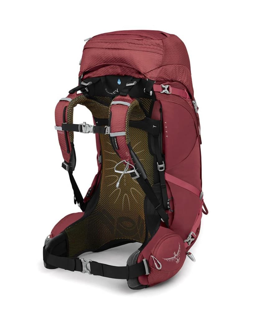 Aura AG 50 Berry Sorbet Red, view: 3