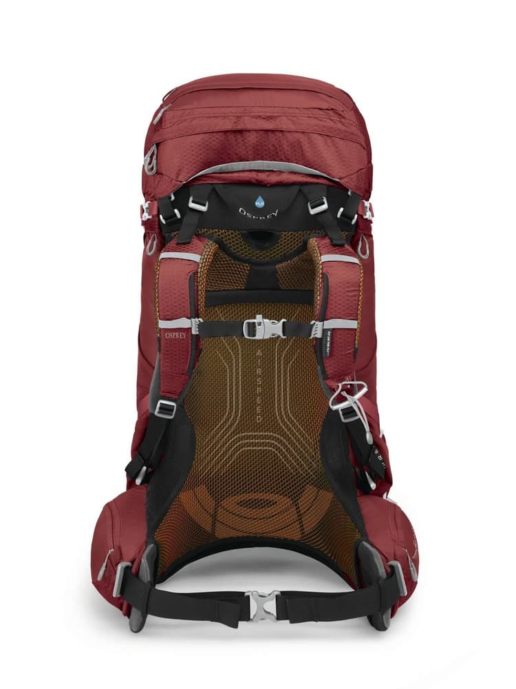 Aura AG 65 Berry Sorbet Red, view: 2
