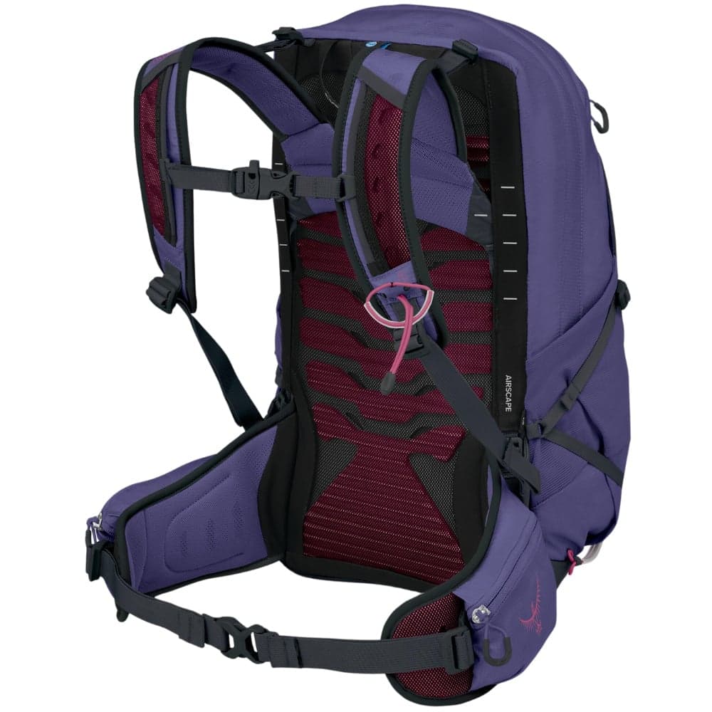 Tempest 22L Deep Fig/Hotspot Pink, view: 2