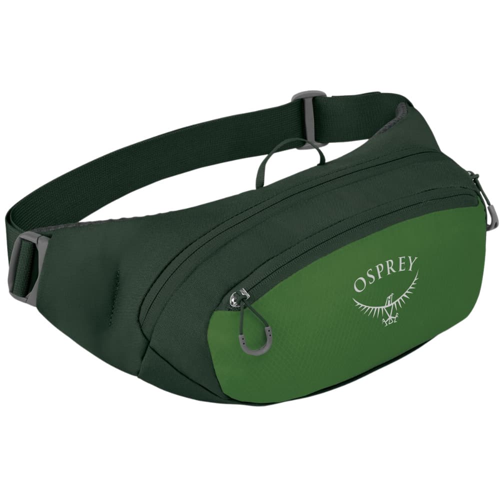 Daylite Waist Pack Green Belt/Green Canopy, view: 2