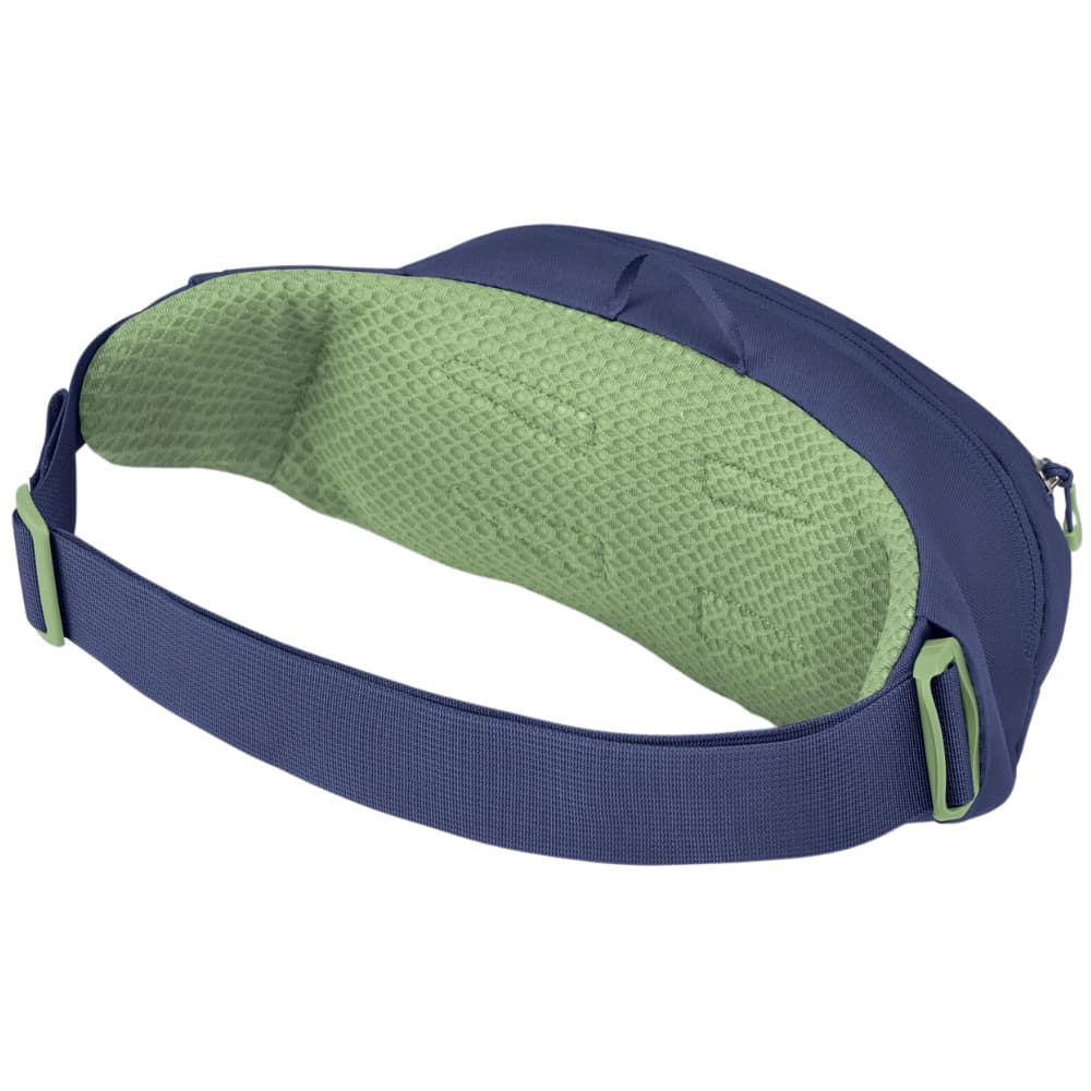 Daylite Waist Pack Blue Spikemoss/Alkaline, view: 2