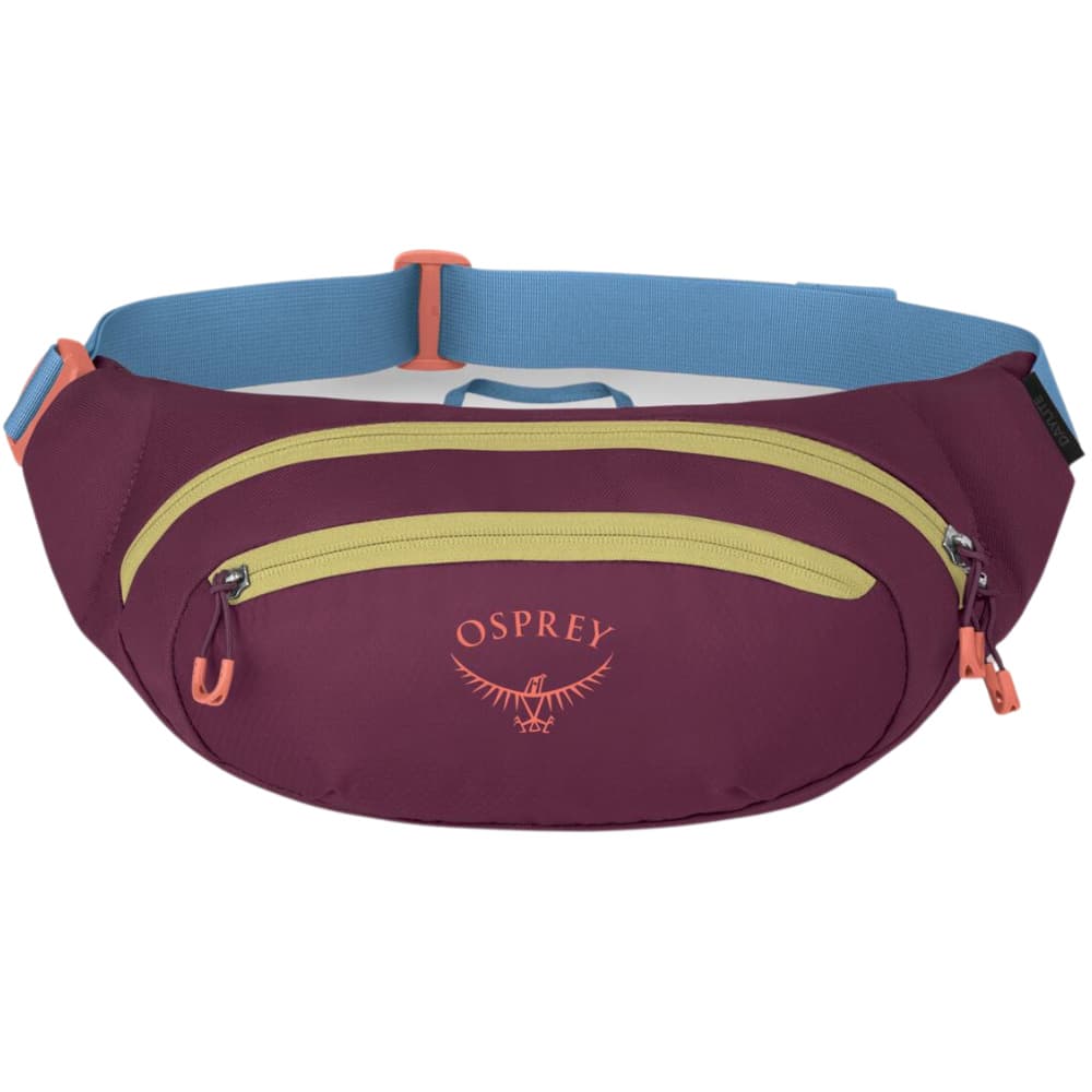 Daylite Waist Pack Moody Burgundy, view: 1