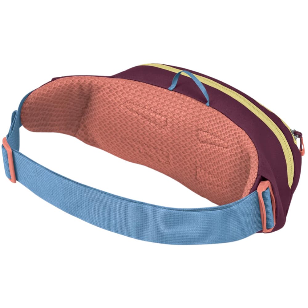 Daylite Waist Pack Moody Burgundy, view: 2