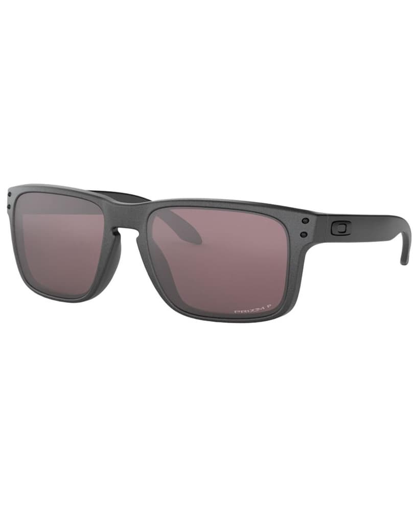 Steel Daily Polarized