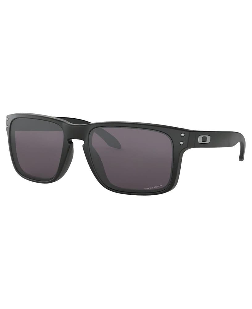 Holbrook Matte Black Prizm Grey, view: 0