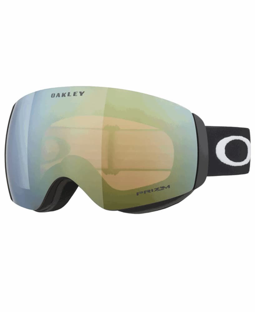 Matte Black/Prizm Sage Gold