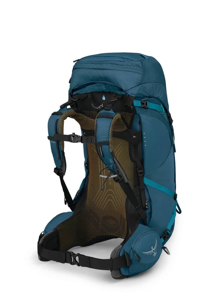 Atmos AG 50 Venturi Blue, view: 8