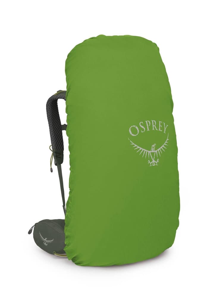Kestrel 68 Bonsai Green, view: 3