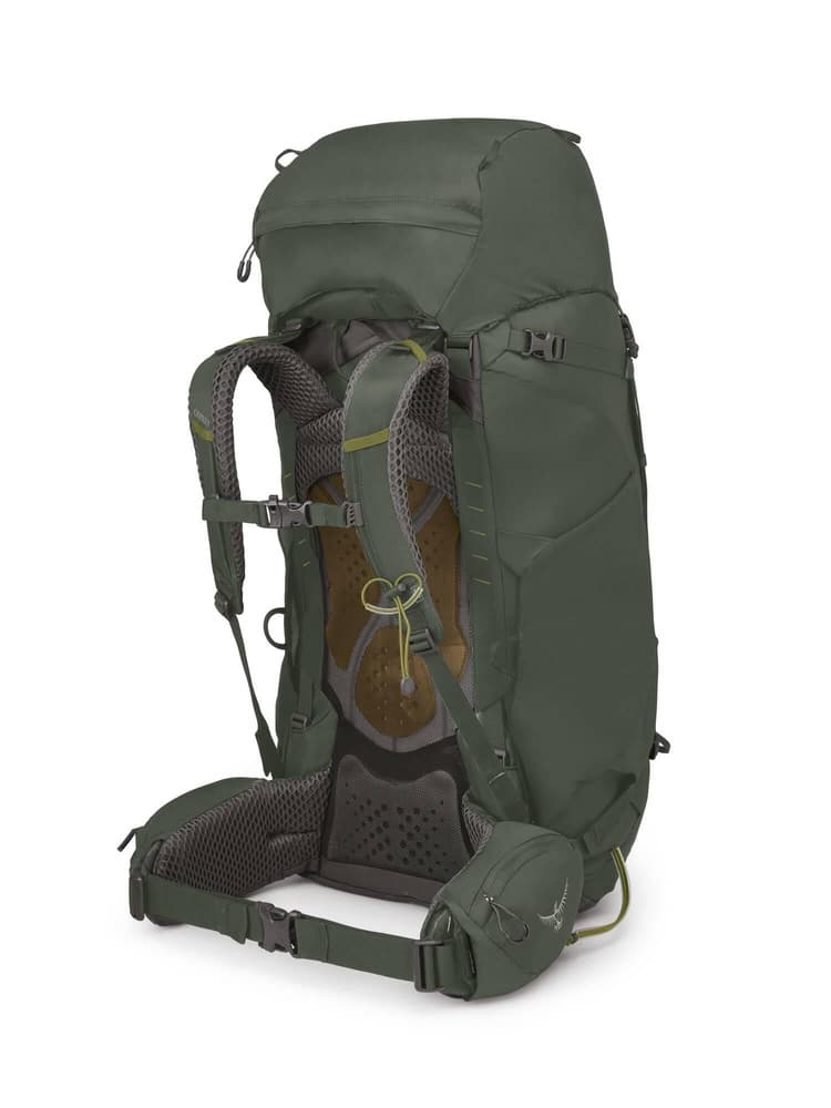 Kestrel 68 Bonsai Green, view: 1