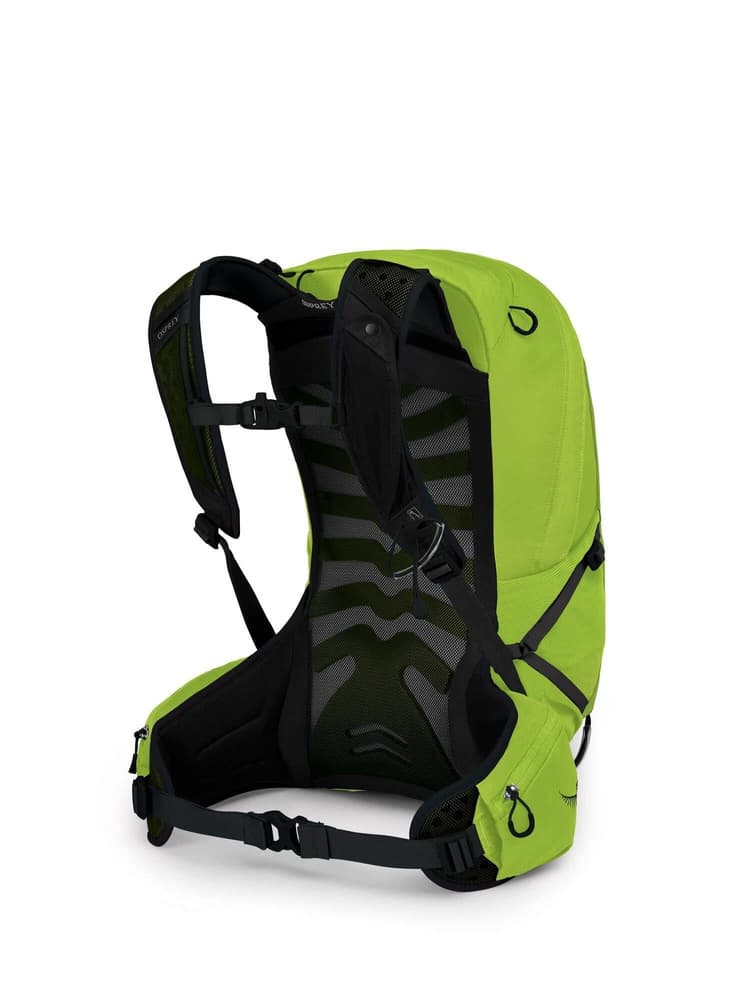 Talon 22 Limon Green, view: 2