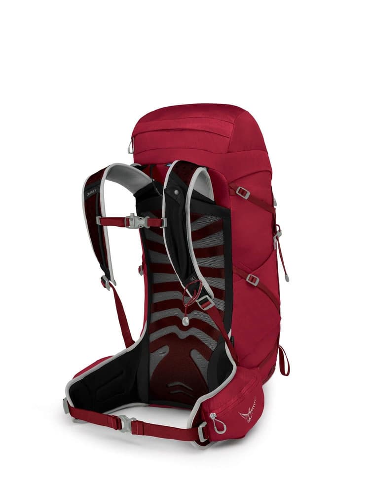 Talon 33 Cosmic Red, view: 1