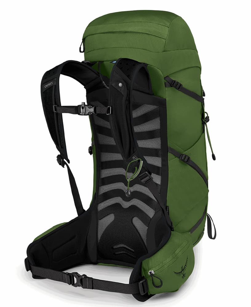 Talon 33 Green Belt/Black, view: 2