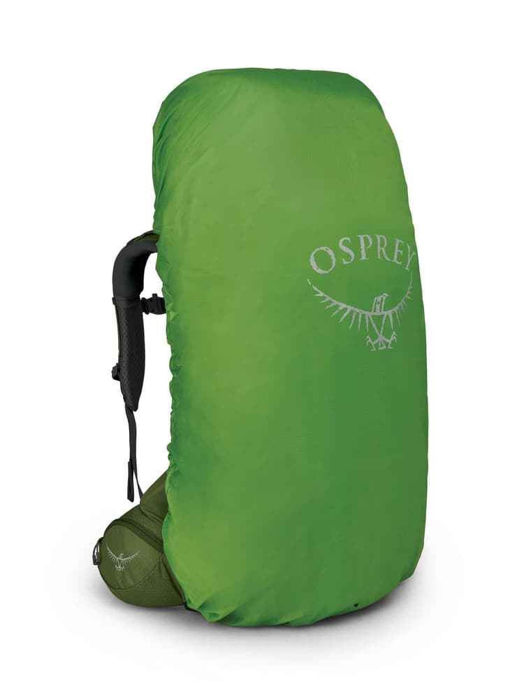 Aether 55 Garlic Mustard Green, view: 2