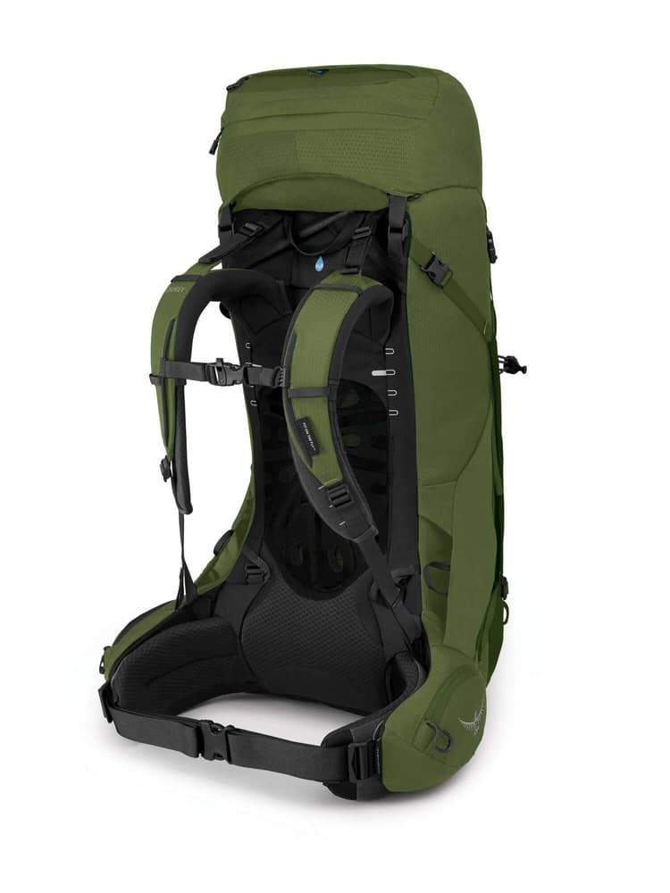 Aether 55 Garlic Mustard Green, view: 1