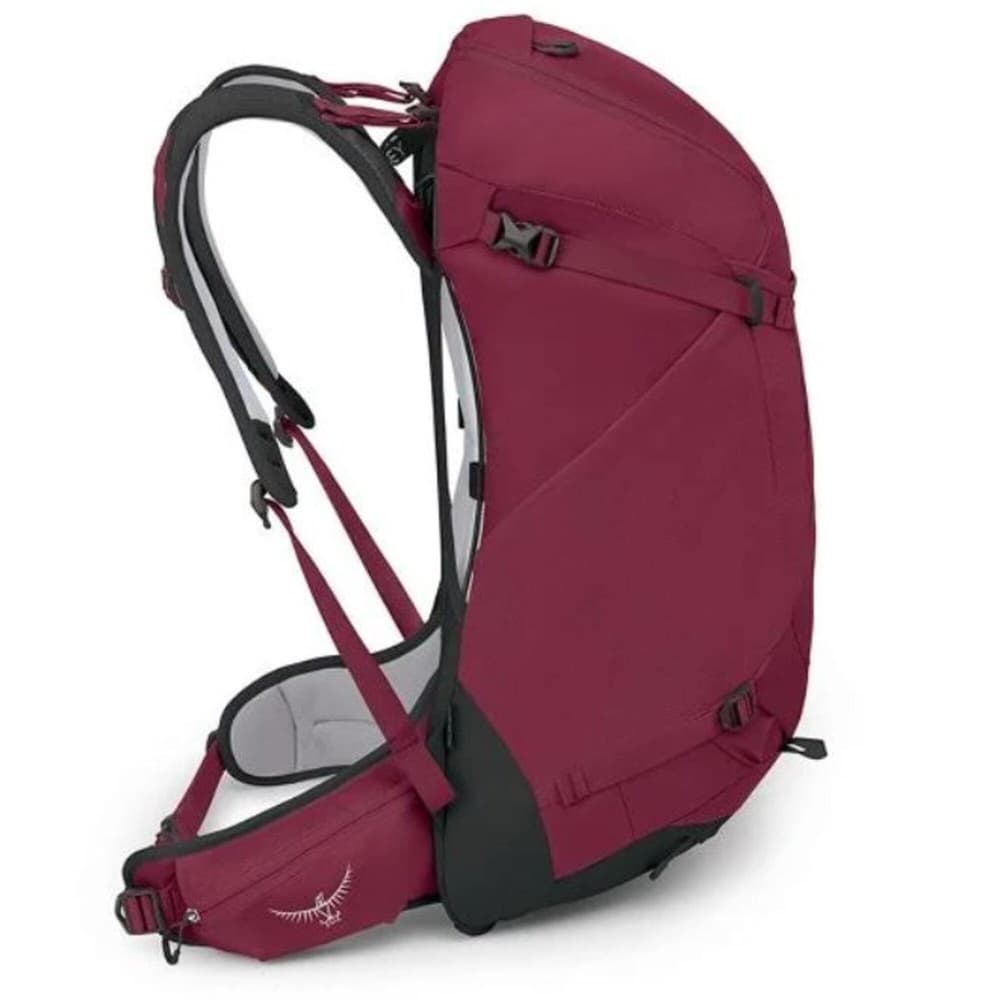 Hikelite 32L Chameleon/Black, view: 3