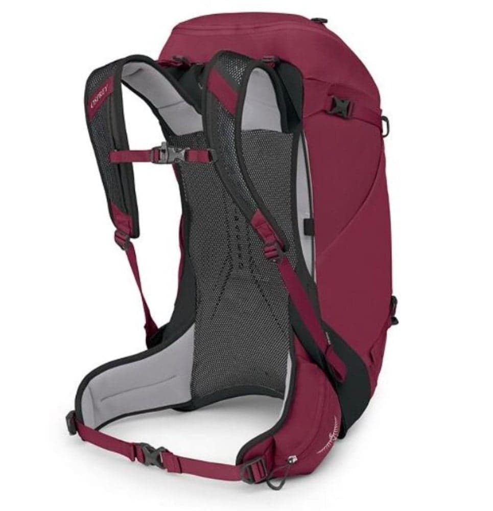 Hikelite 32L Chameleon/Black, view: 2