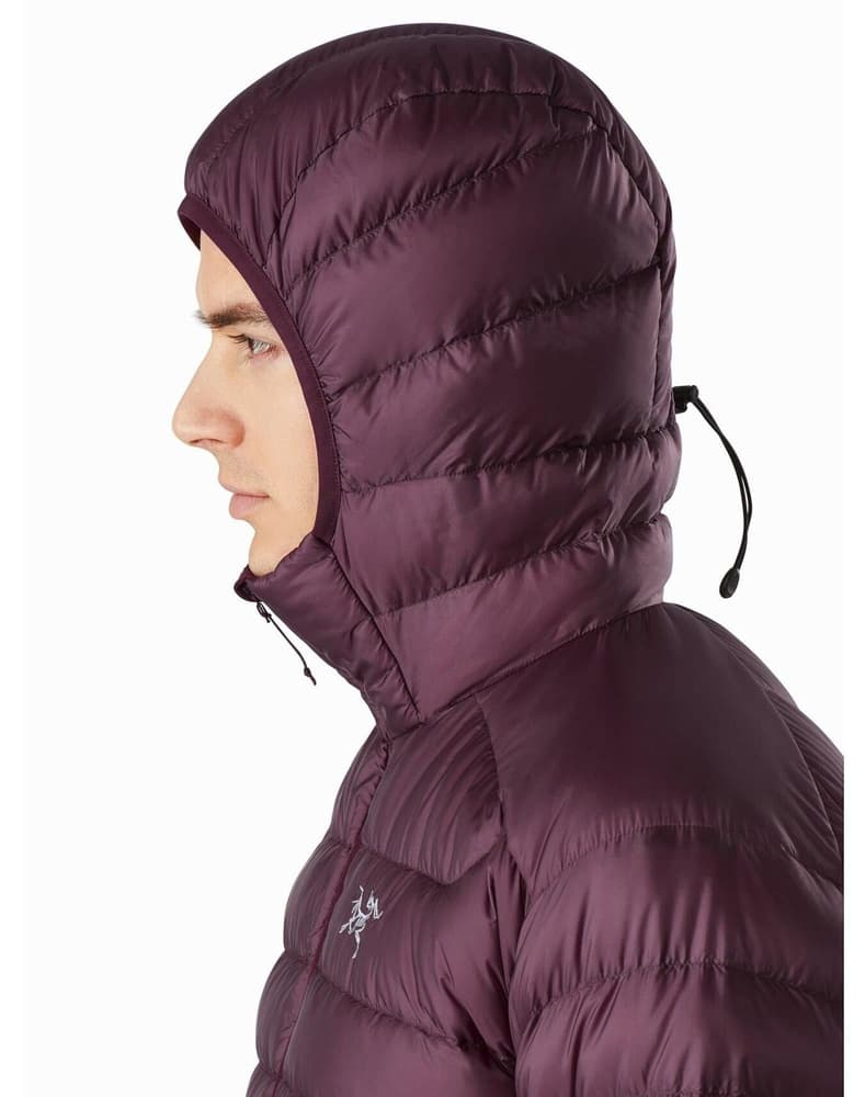 Cerium LT Hoody Dynasty, view: 5