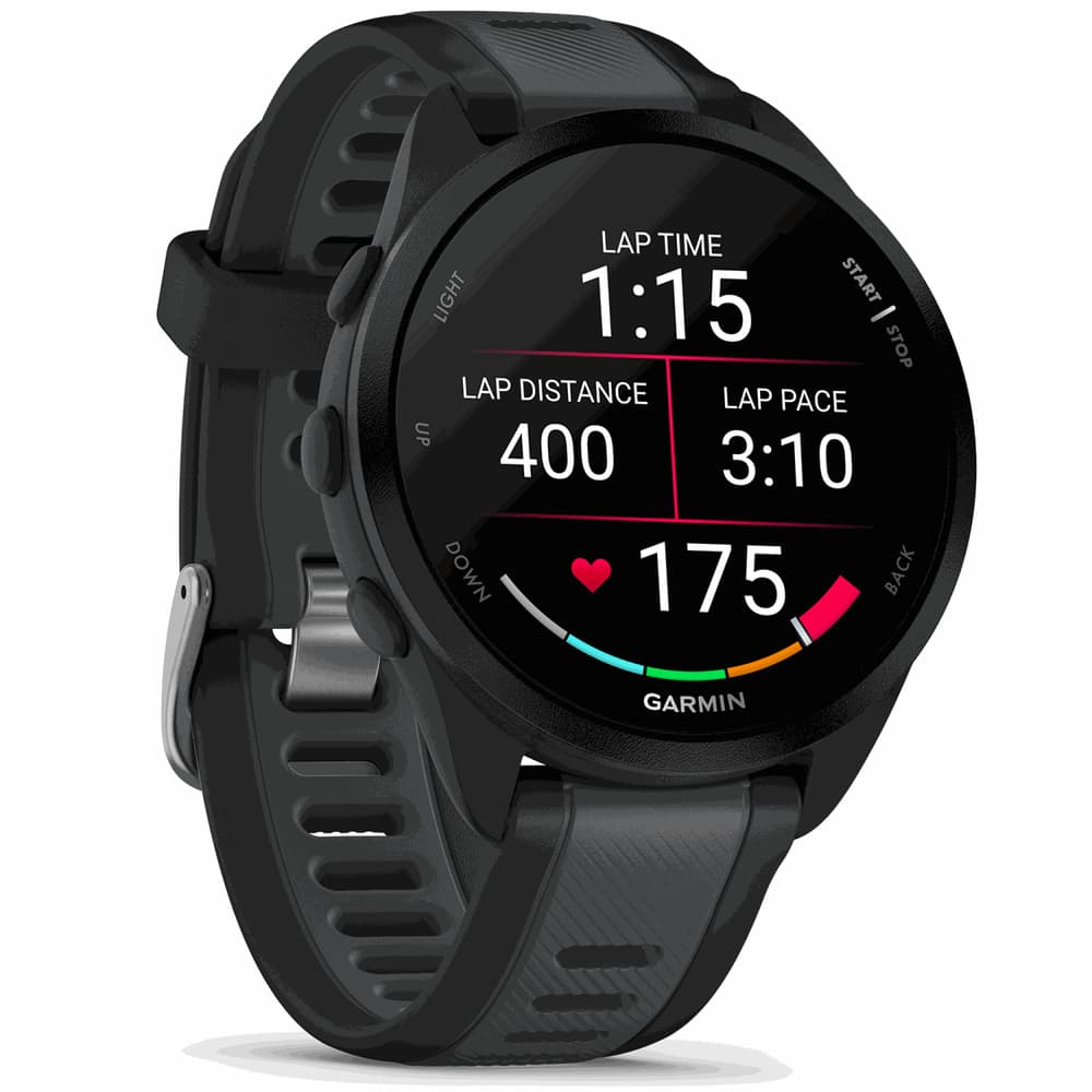 Forerunner 165 Black/Slate Grey, view: 2