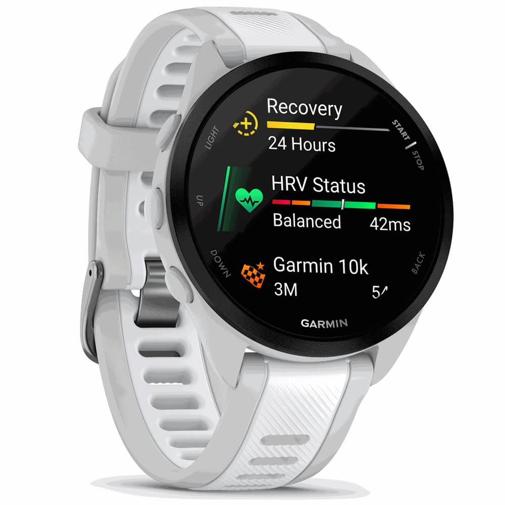Forerunner 165 Music Mist Grey/Whitestone, view: 2