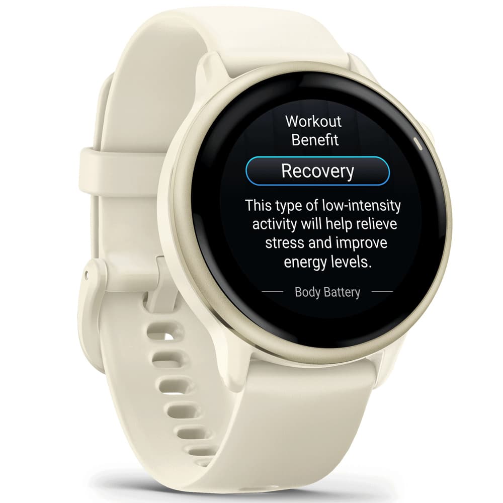 vivoactive 6 Bone/Lunar Gold, view: 5