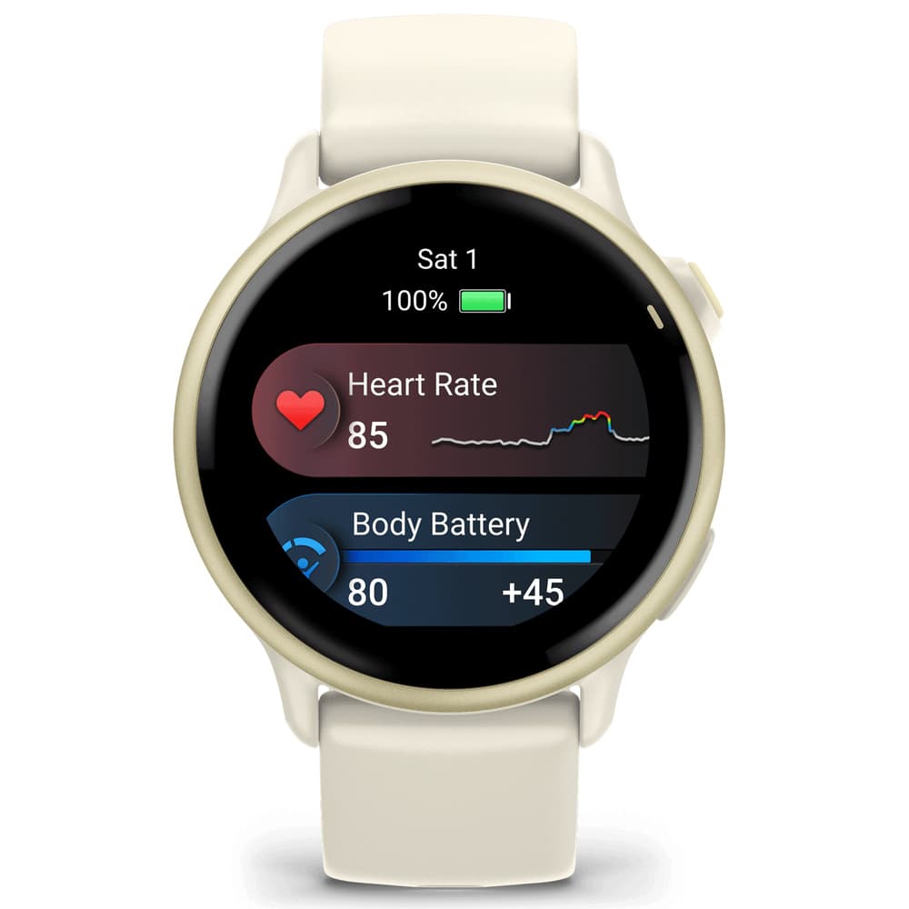 vivoactive 6 Bone/Lunar Gold, view: 3
