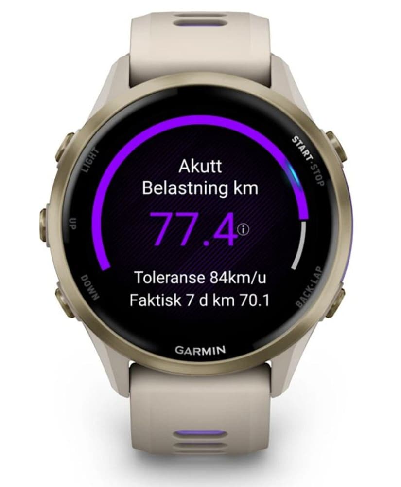 Forerunner 970 Gray/Indigo, view: 3