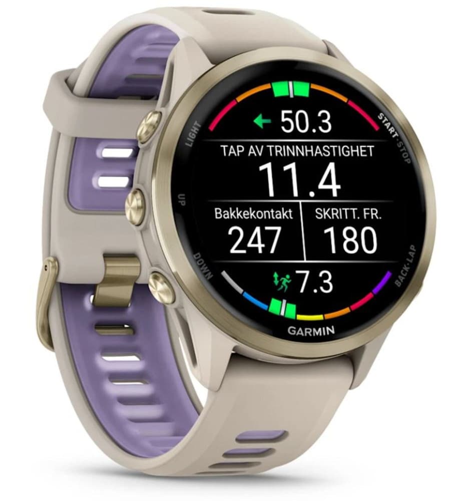 Forerunner 970 Gray/Indigo, view: 2