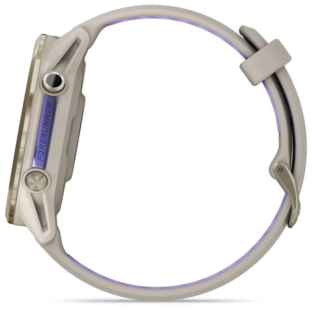 Forerunner 970 Gray/Indigo, view: 7
