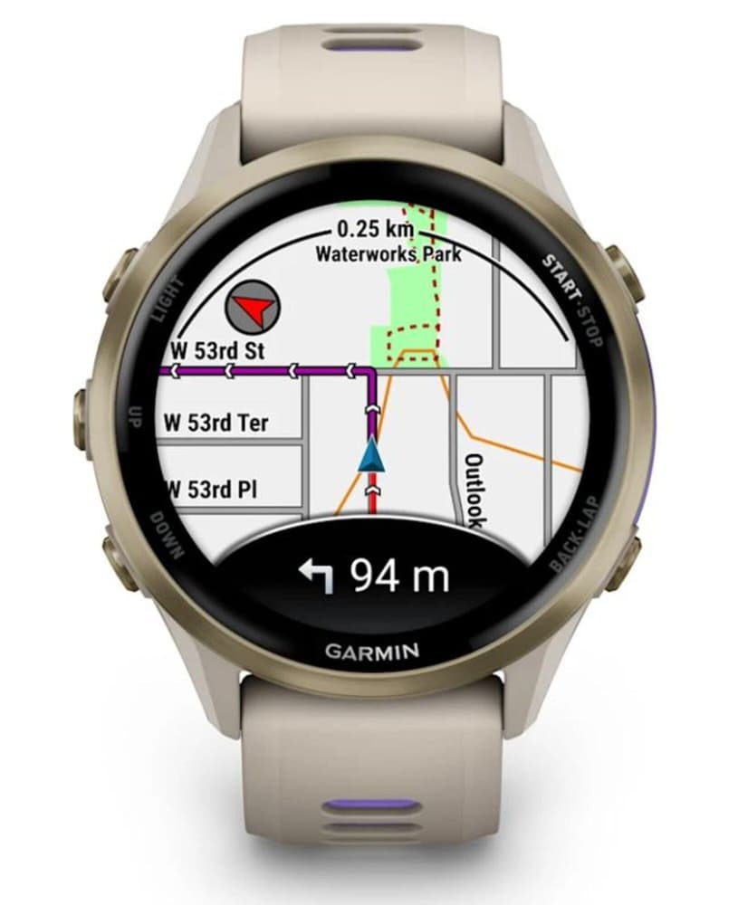 Forerunner 970 Gray/Indigo, view: 1
