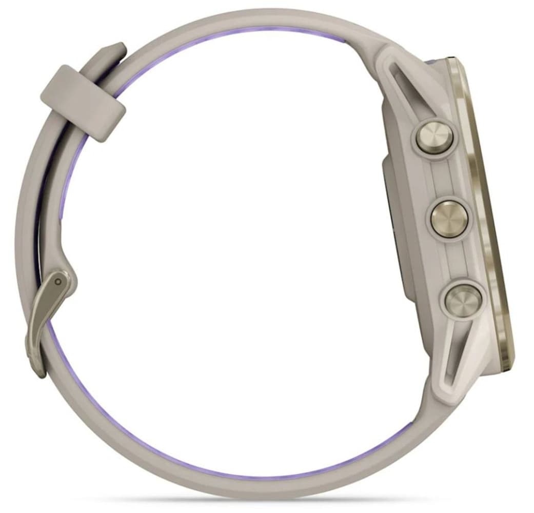 Forerunner 970 Gray/Indigo, view: 5