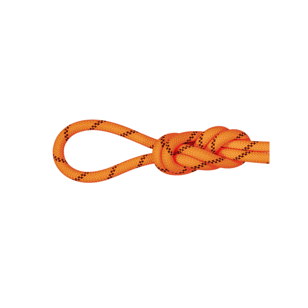 8.7 Alpine Sender Dry Rope, view: 0
