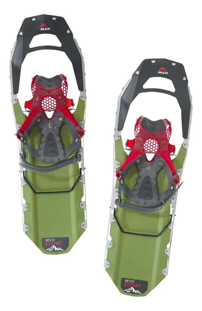 Revo Ascent M25 Olivengrønn, view: 1