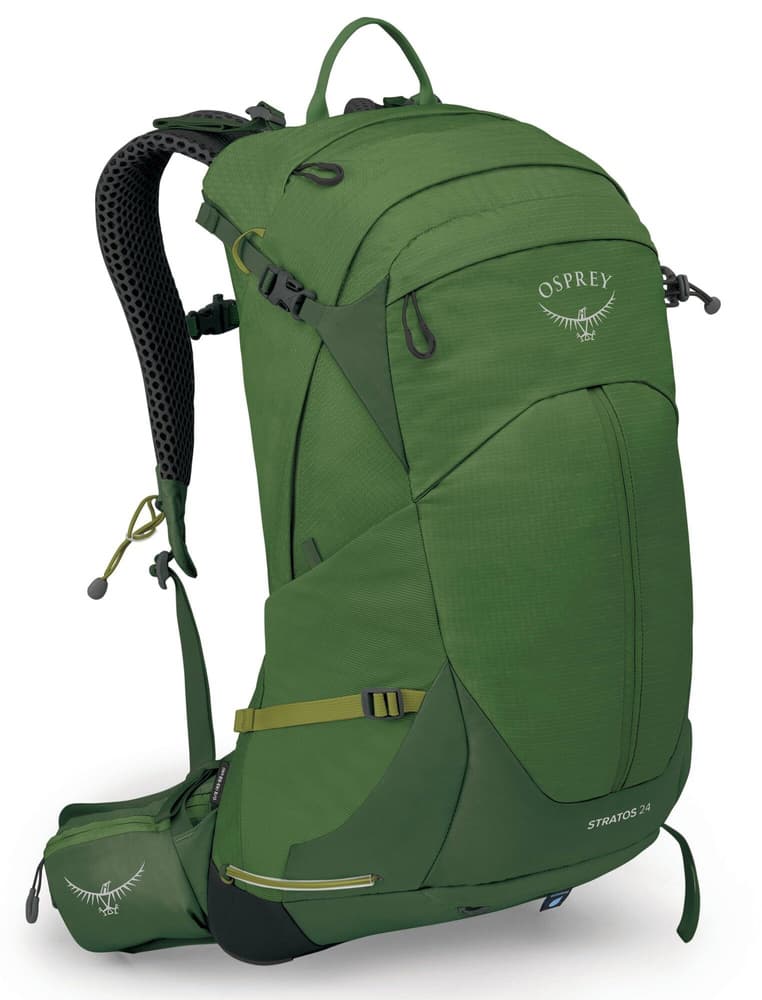 Stratos 24 Seaweed/Matcha Green, view: 0